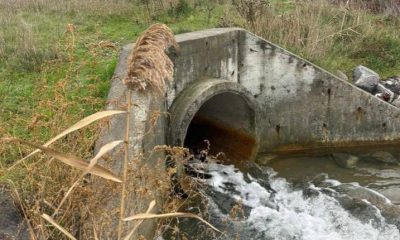 Куяльницький лиман наповнили морською водою «фото»
