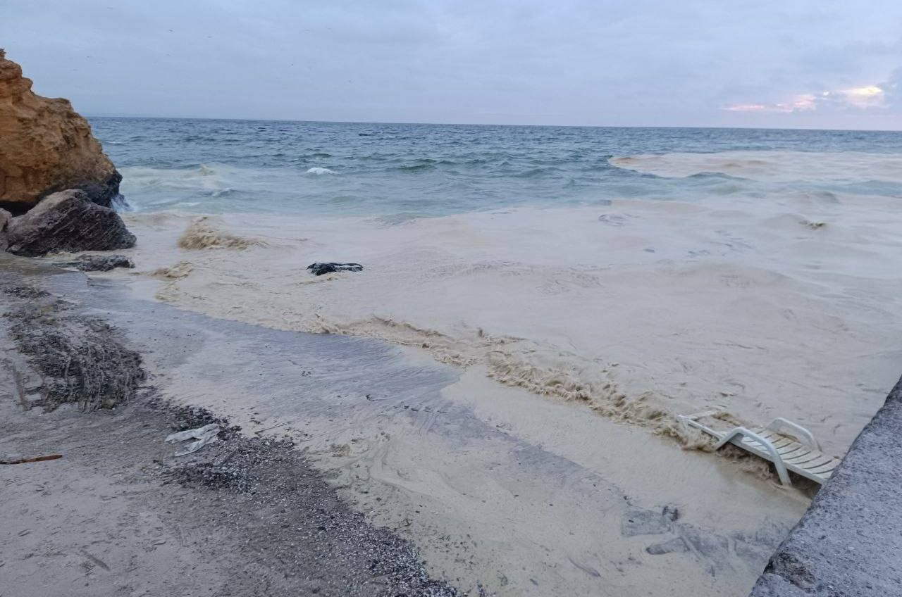 Масштабний витік соняшникової олії з порту «Південний» дістався Одеси: на берег викидає мертвих птахів (фото) «фото»