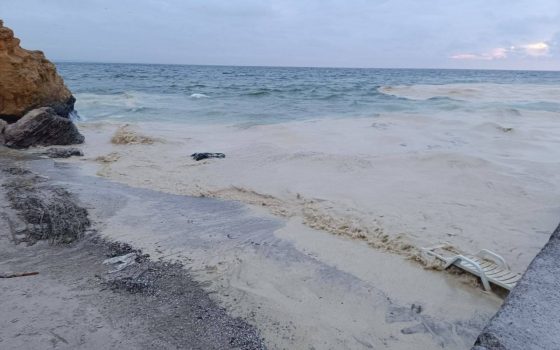 Масштабний витік соняшникової олії з порту «Південний» дістався Одеси: на берег викидає мертвих птахів (фото) «фото»