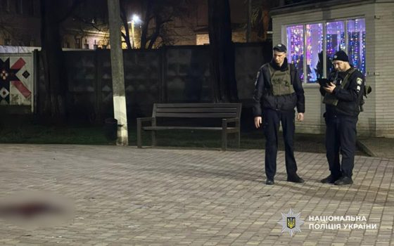 Ненавмисне вбивство: хлопець вдарив ножем свою мати, коли та розбороняла бійку «фото»