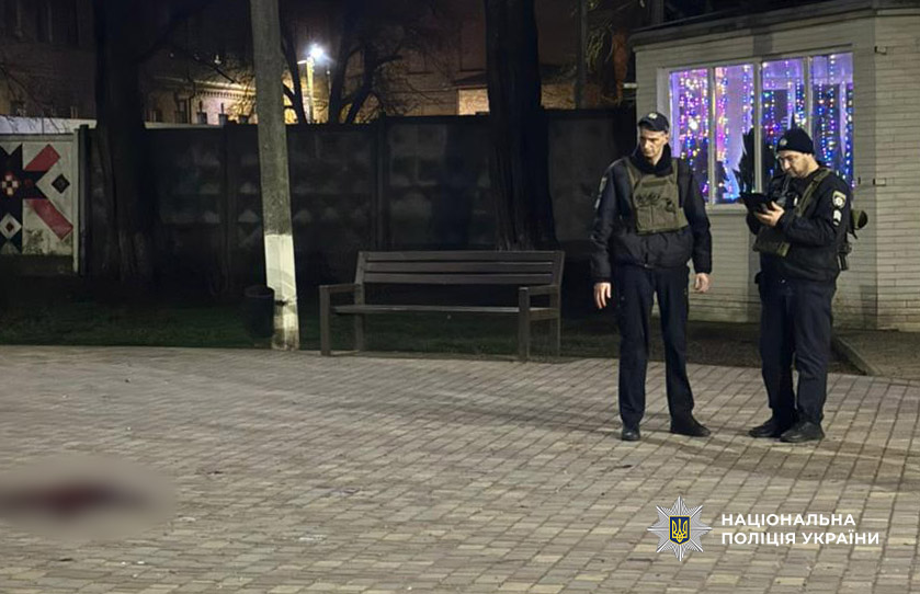 Ненавмисне вбивство: хлопець вдарив ножем свою мати, коли та розбороняла бійку «фото»