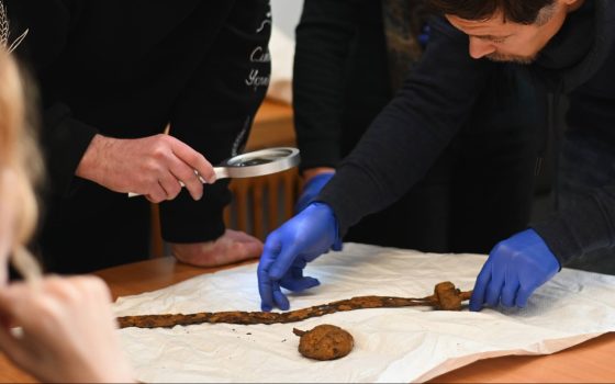 Зброя варязьких дружинників: Національний музей історії України отримав рідкісний меч (фото) «фото»