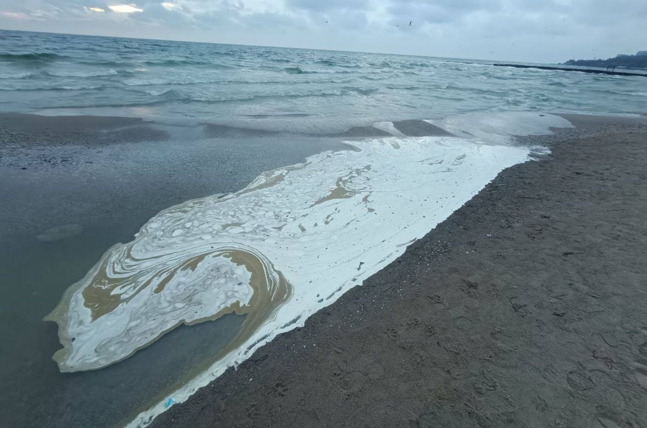 Масляна плівка в Чорному морі сягнула 130 квадратних кілометрів (фото) «фото»