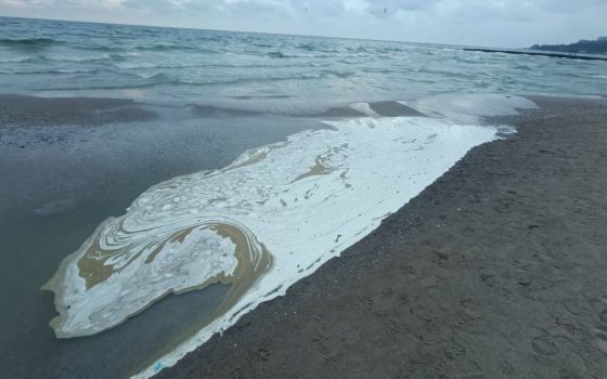 Масляна плівка в Чорному морі сягнула 130 квадратних кілометрів (фото) «фото»