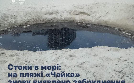 Екологи знову виявили виток стічних вод на пляжі «Чайка» в Одесі, який з жовтня ніхто не ліквідував «фото»