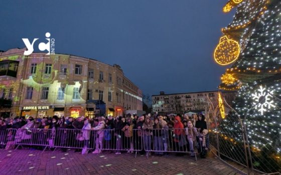 В Одесі урочисто відкрили центральну ялинку (фото) «фото»