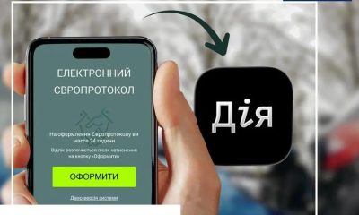 Європротокол у «Дія»: ДТП без поліції та паперових довідок «фото»