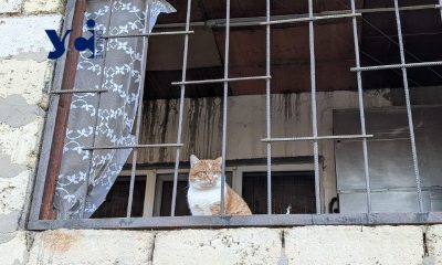 «Діти – вдома, вікна – вибиті, води – немає, електроенергія – відсутня»: так живе район Одеси після нічного обстрілу (фото) «фото»