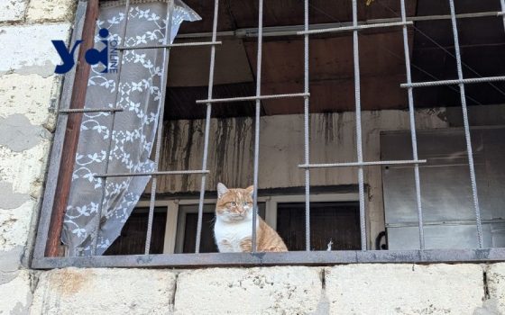 «Діти – вдома, вікна – вибиті, води – немає, електроенергія – відсутня»: так живе район Одеси після нічного обстрілу (фото) «фото»