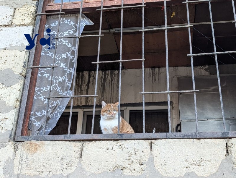 «Діти – вдома, вікна – вибиті, води – немає, електроенергія – відсутня»: так живе район Одеси після нічного обстрілу (фото) «фото»