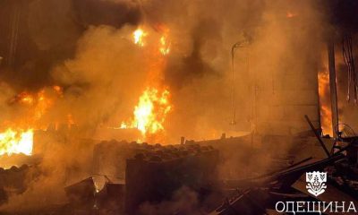 Атаки РФ на порти Одещини уповільнили експорт зерна та здорожчують логістику «фото»