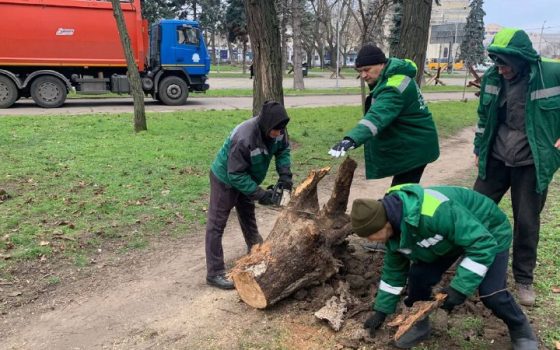 Вночі в Одесі вирувала негода: понад десяток повалених дерев (фото) «фото»