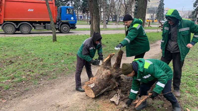 Вночі в Одесі вирувала негода: понад десяток повалених дерев (фото) «фото»