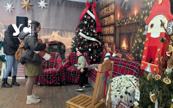 В Одесі на Грецькій площі працює новорічний ярмарок (фото) «фото»