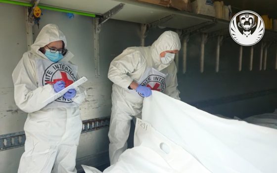 В Україну повернули ще 1003 тіла загиблих військових (фото) «фото»