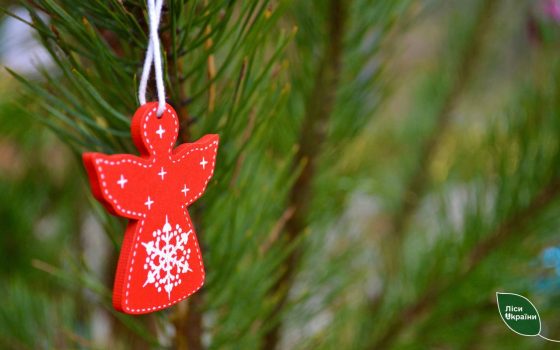 Новорічні ялинки за 200 грн: де передзамовити на Одещині (фото) «фото»