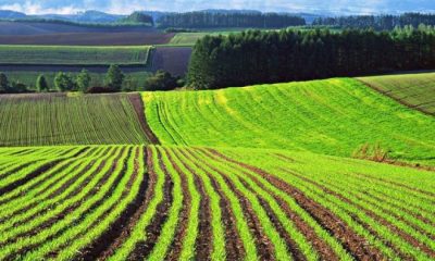 В Україні створять резервний фонд земель для ветеранів «фото»