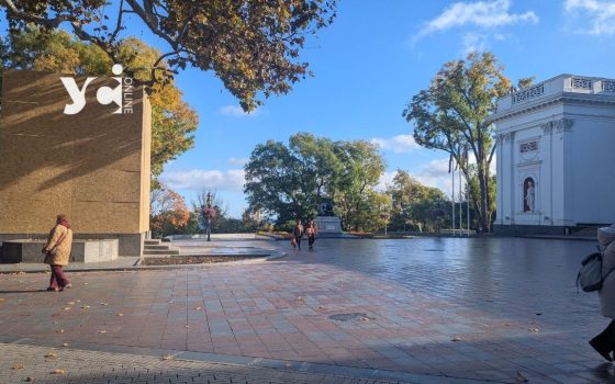 В Одесі провокатор приніс квіти до пам’ятника Пушкіна після хвилини мовчання (відео) «фото»