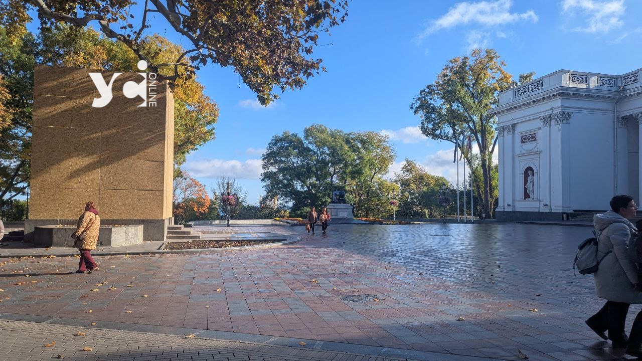 В Одесі провокатор приніс квіти до пам’ятника Пушкіна після хвилини мовчання (відео) «фото»