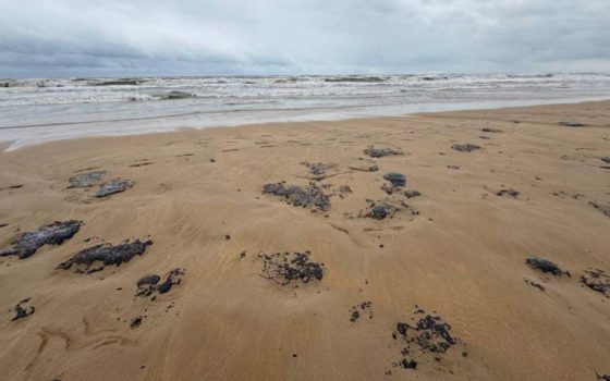 У Затоці знову помітили плями мазуту з російських танкерів (відео) «фото»