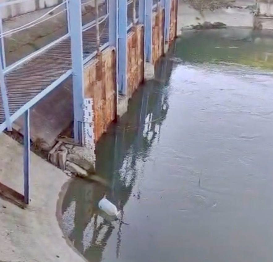 Придунайські озера в нестабільному стані: критично низький рівень води в озері Китай (фото) «фото»