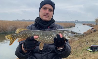 В Одесі призначили директора нового департаменту у справах ветеранів  «фото»