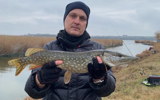 В Одесі призначили директора нового департаменту у справах ветеранів  «фото»