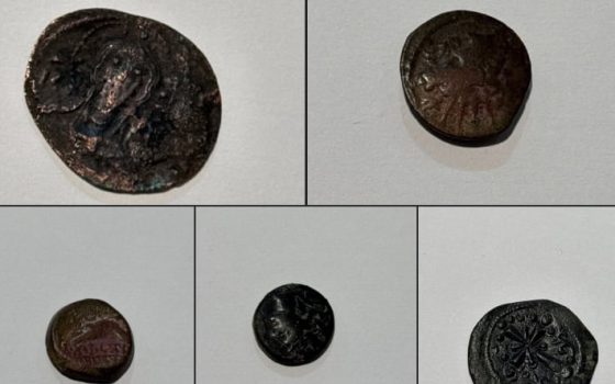 На Одещині жінка намагалась вивезти колекцію давньогрецьких монет за кордон «фото»