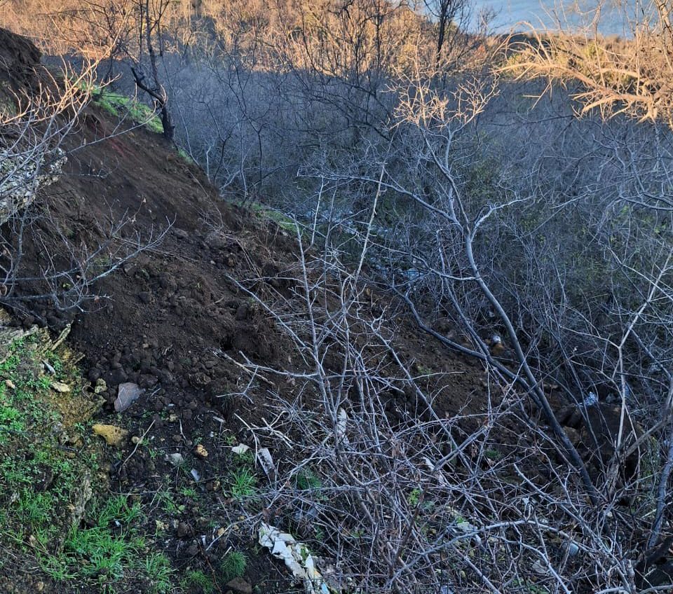На схилах Хаджибейського лиману ліквідували велике сміттєзвалище (фото) «фото»