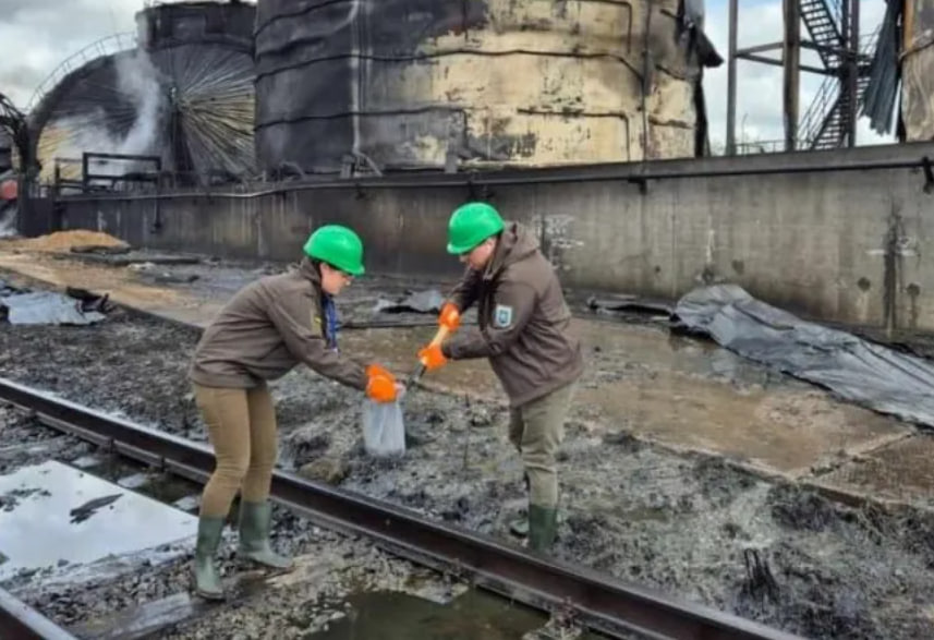 Удар по заводу у порту Південний: ціни на соняшник в Україні обвалилися «фото»