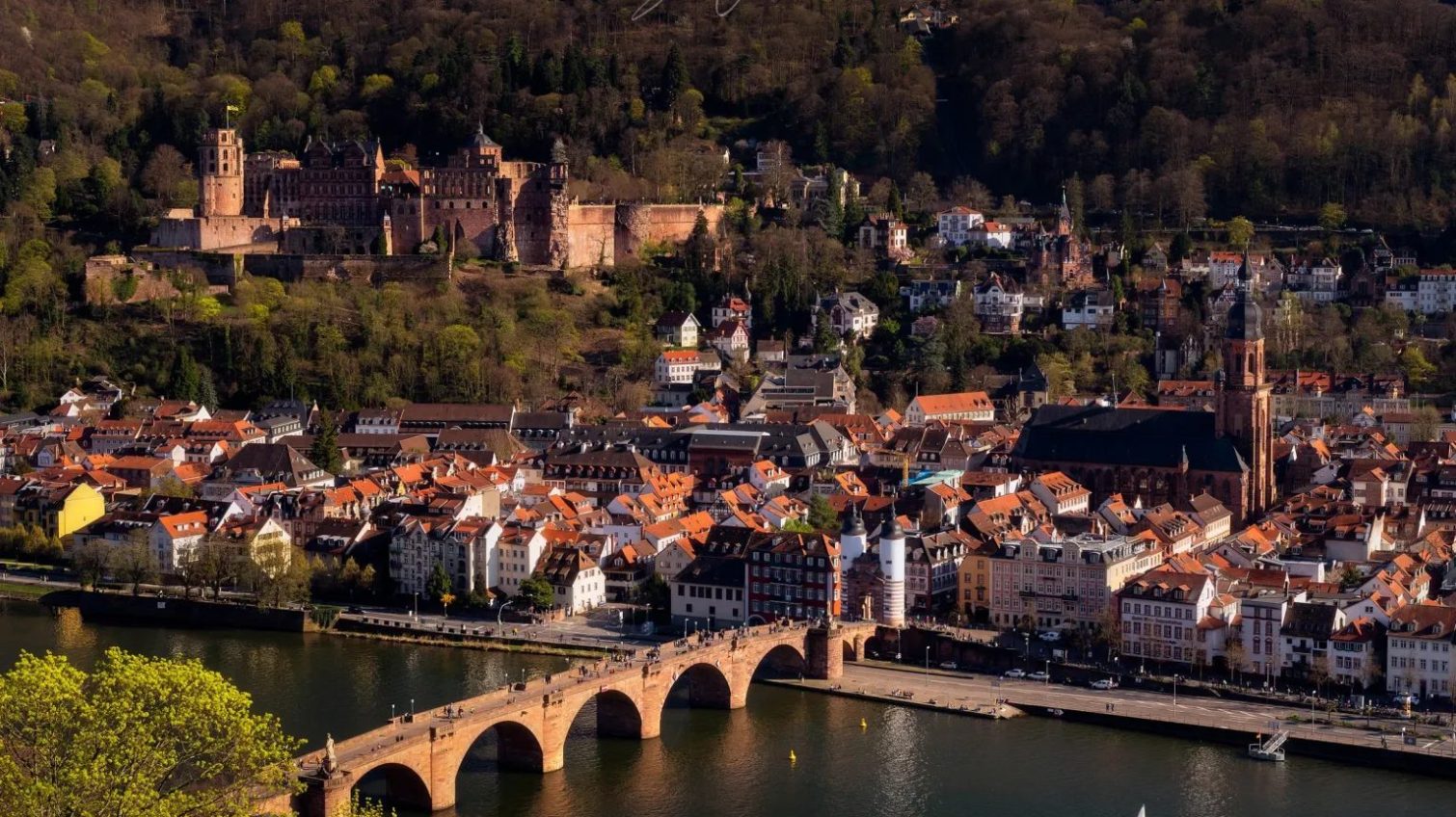 У німецькому Гейдельберзі з’явилася вулиця на честь Одеси «фото»