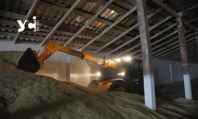 Морози затримують постачання пшениці до портів і штовхають ціни вгору «фото»