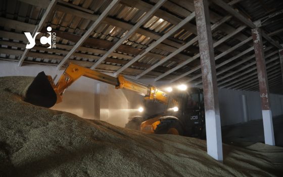Морози затримують постачання пшениці до портів і штовхають ціни вгору «фото»