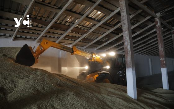 Україна за рік скоротила експорт агропродукції «фото»