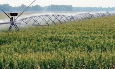 Аграрний сектор торік отримав 34 млн грн держпідтримки на розвиток зрошення «фото»
