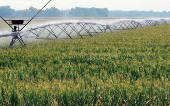 Аграрний сектор торік отримав 34 млн грн держпідтримки на розвиток зрошення «фото»