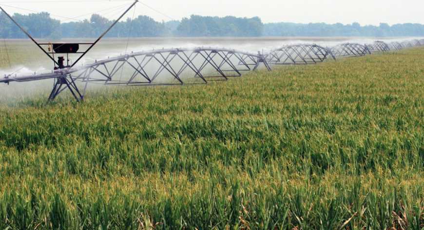 Аграрний сектор торік отримав 34 млн грн держпідтримки на розвиток зрошення «фото»
