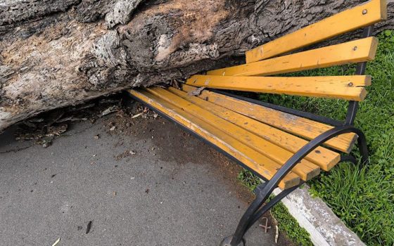 З початку січня в Одесі інспектори «Міськзелентресту» відреагували на 66 порушень правил благоустрою «фото»