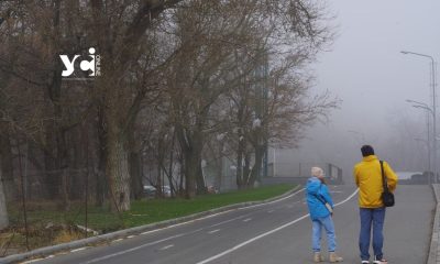 Ожеледиця та густий туман: на Одещині на завтра оголосили жовтий рівень небезпеки «фото»