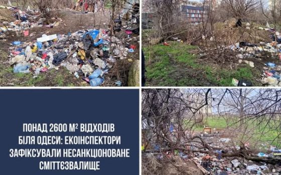 Понад 2600 квадратів сміття знайшли між вулицями Сахарова і Заболотного в Одесі «фото»