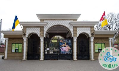 Одеський зоопарк виступив з офіційною заявою щодо тиску на нього зоозахисників «фото»