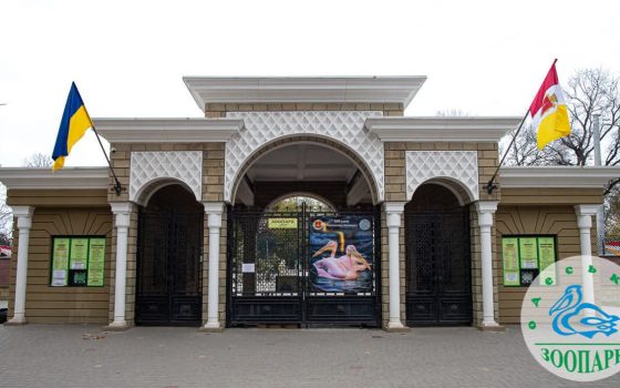Одеський зоопарк виступив з офіційною заявою щодо тиску на нього зоозахисників «фото»