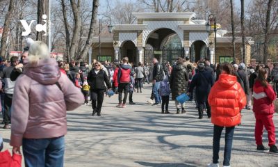 Суд наклав арешт на майно одеського зоопарка через підрядника, який вкрав гроші на ремонті котла «фото»