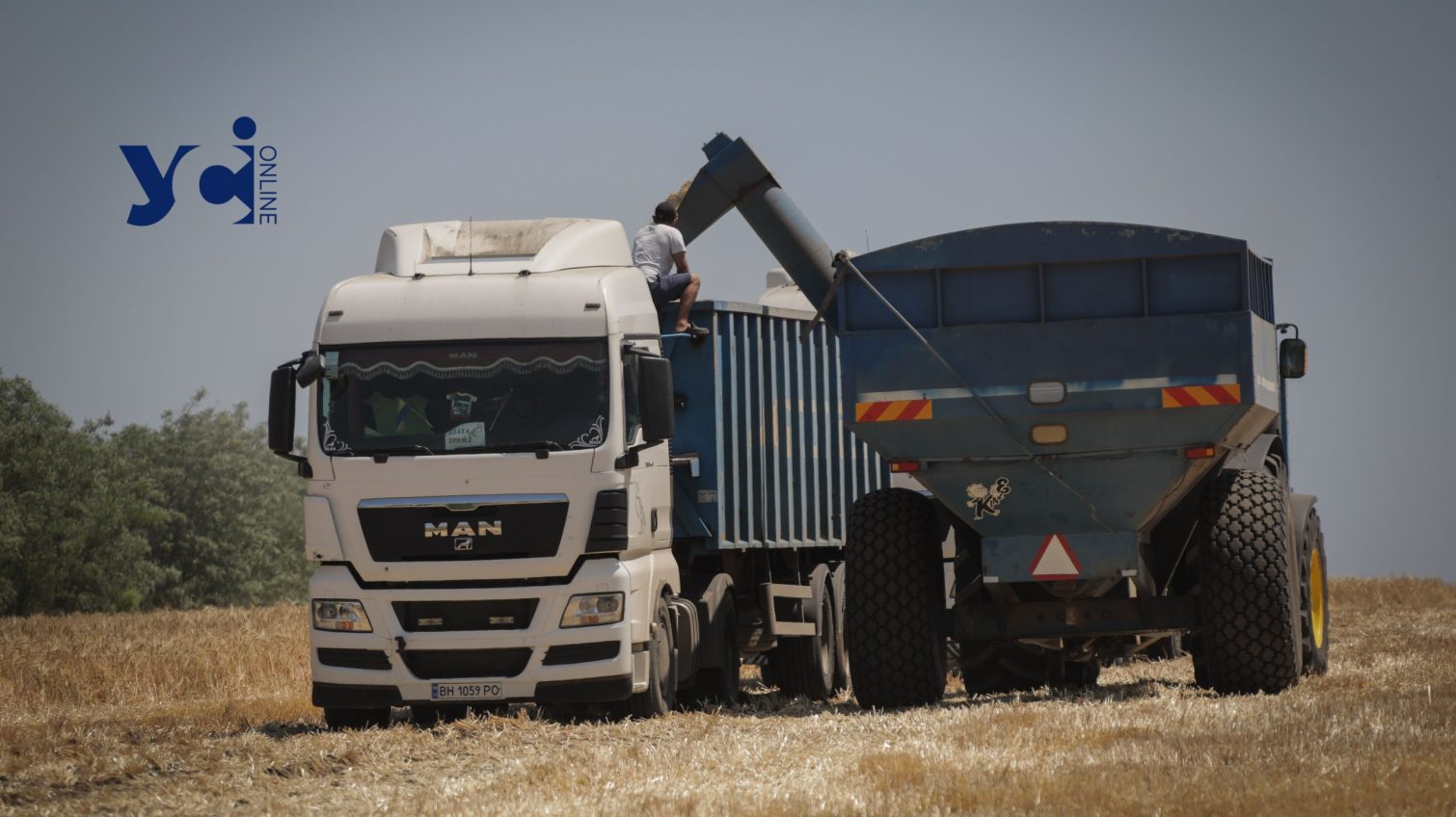 ЄС залишається для України ключовим ринком постачання органічної продукції «фото»