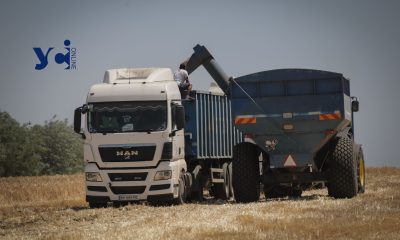 ЄС залишається для України ключовим ринком постачання органічної продукції «фото»