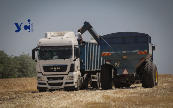 ЄС залишається для України ключовим ринком постачання органічної продукції «фото»