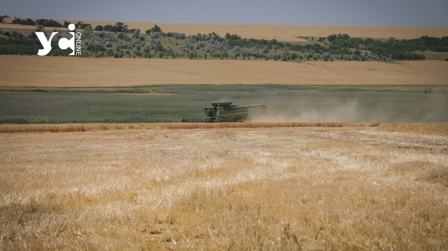 Ринок землі в Україні відновив довоєнні обсяги «фото»