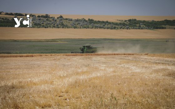 Ринок землі в Україні відновив довоєнні обсяги «фото»