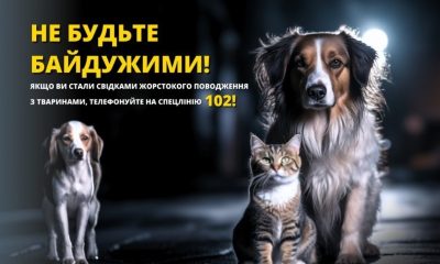 Жителю Болграда повідомили про підозру за жорстоке побиття службового собаки «фото»