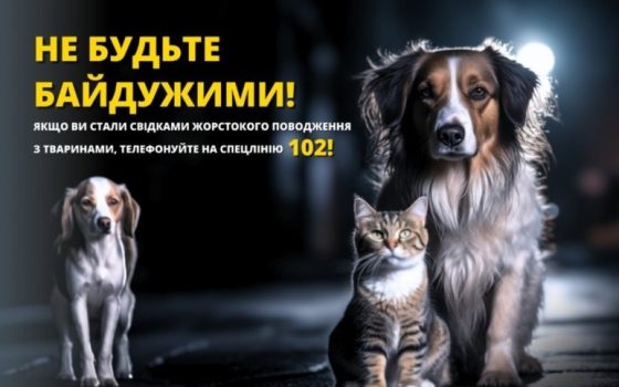 Жителю Болграда повідомили про підозру за жорстоке побиття службового собаки «фото»
